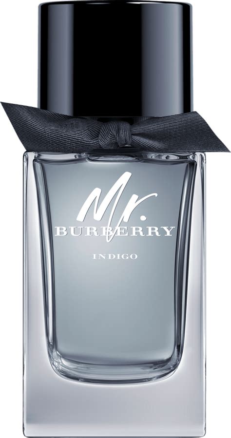 burberry indigo 100ml|Burberry indigo perfume review.